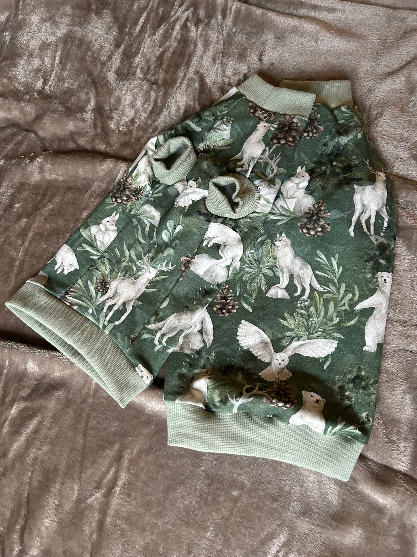 T-shirt, cat, sphynx, forest pattern, green