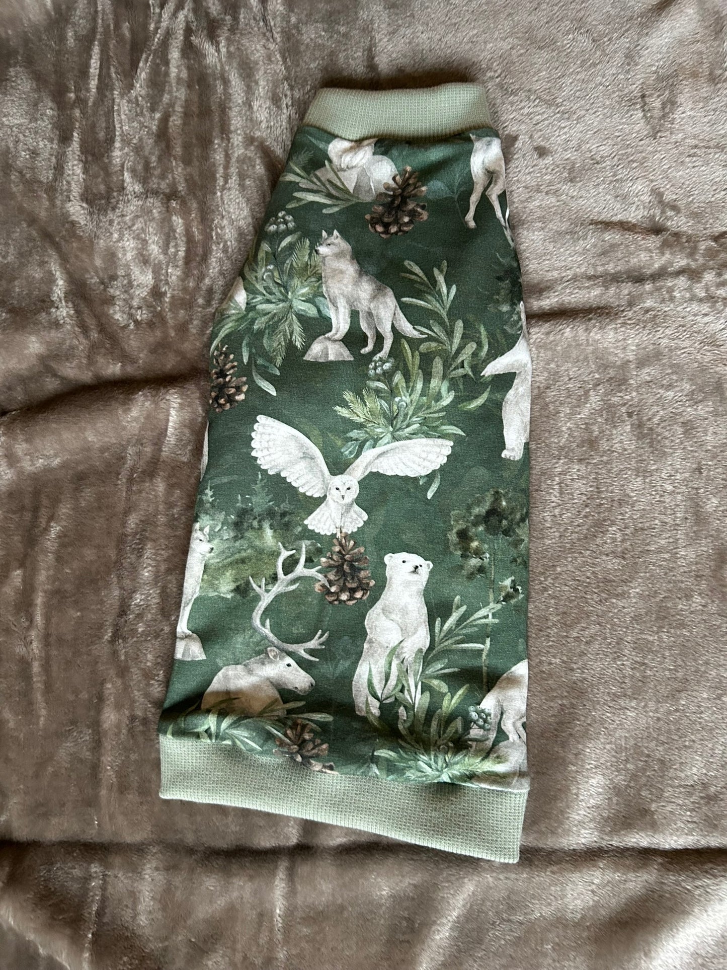 T-shirt, cat, sphynx, forest pattern, green