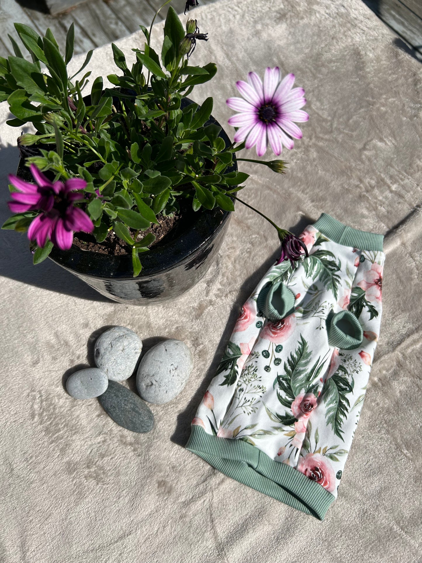 Blommig t-shirt för sphynxar