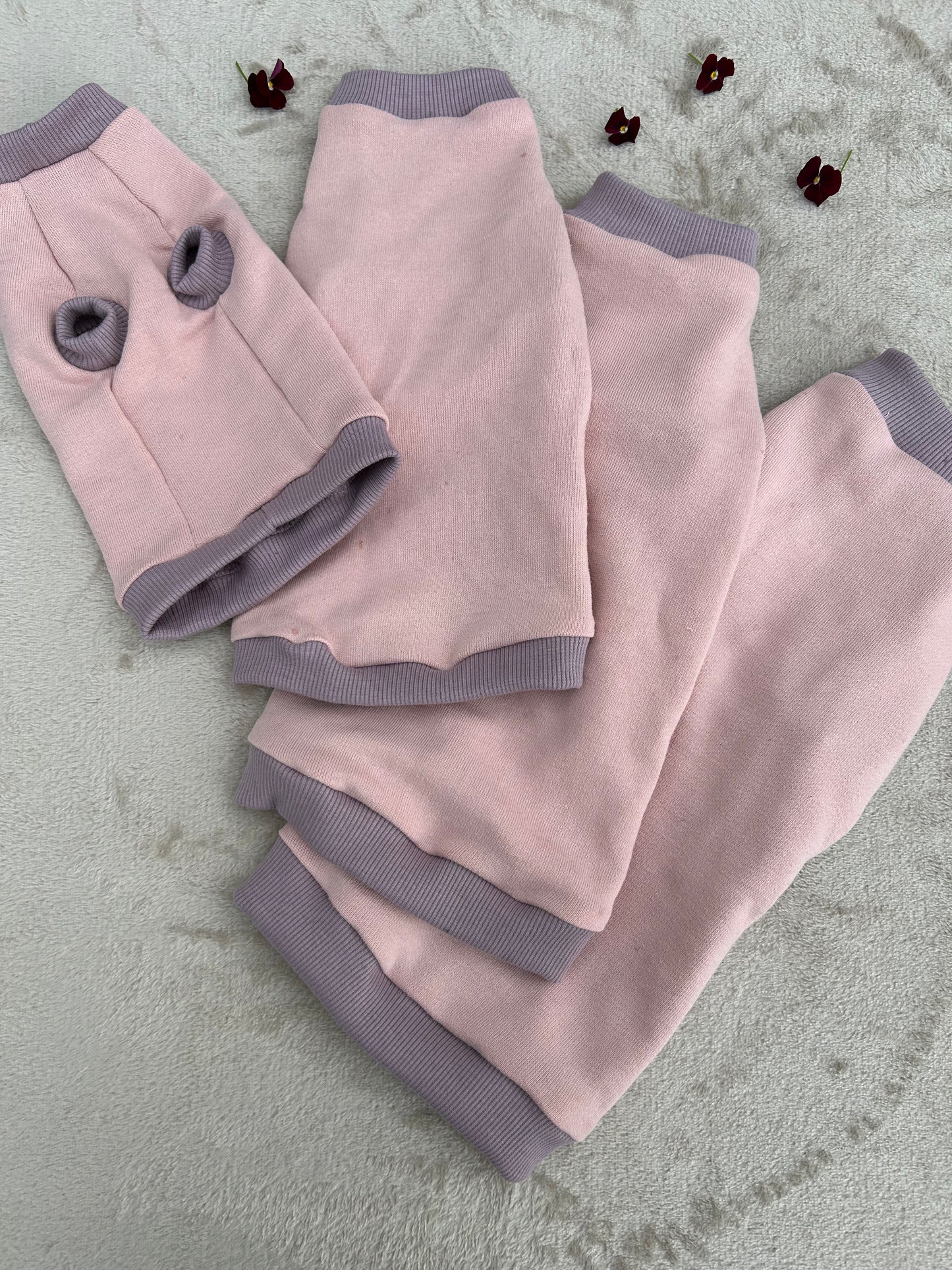 T-shirt med historia: Återbruk för din sphynx