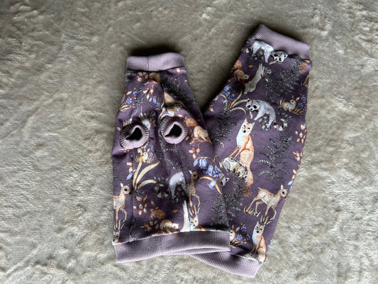 T-shirt för sphynxar, lila skog