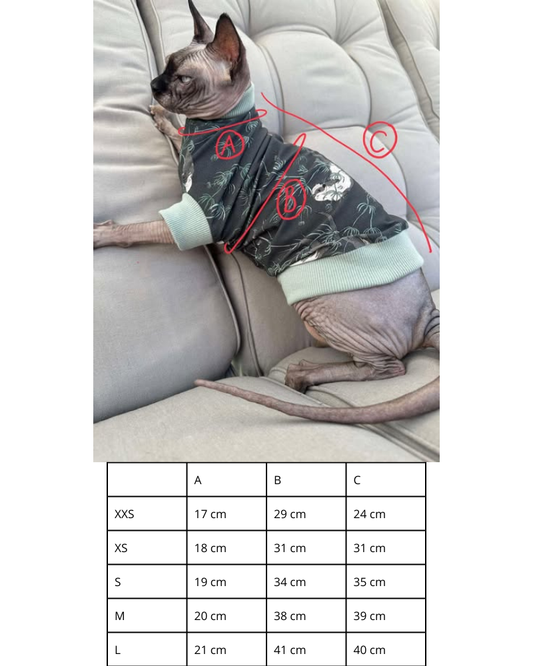 T-shirt med historia: Återbruk för din sphynx