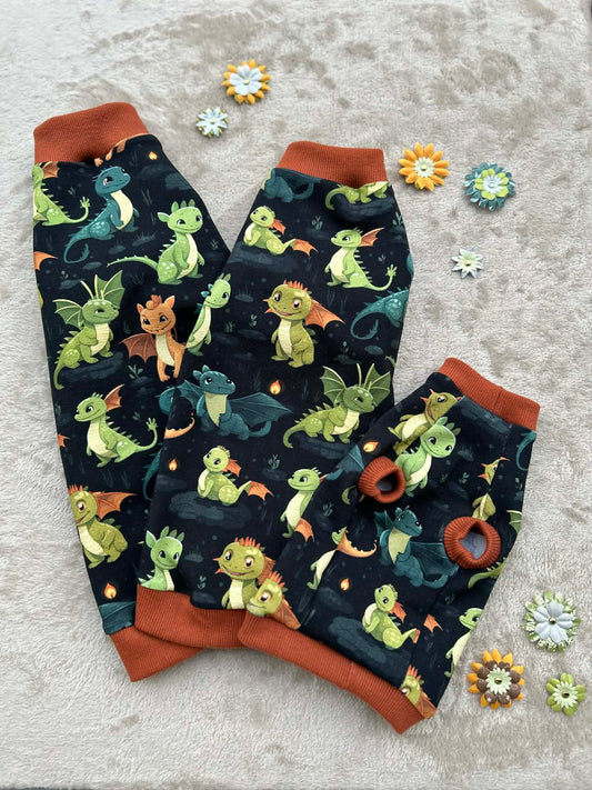 T-shirt för Sphynx med BabyDrakar