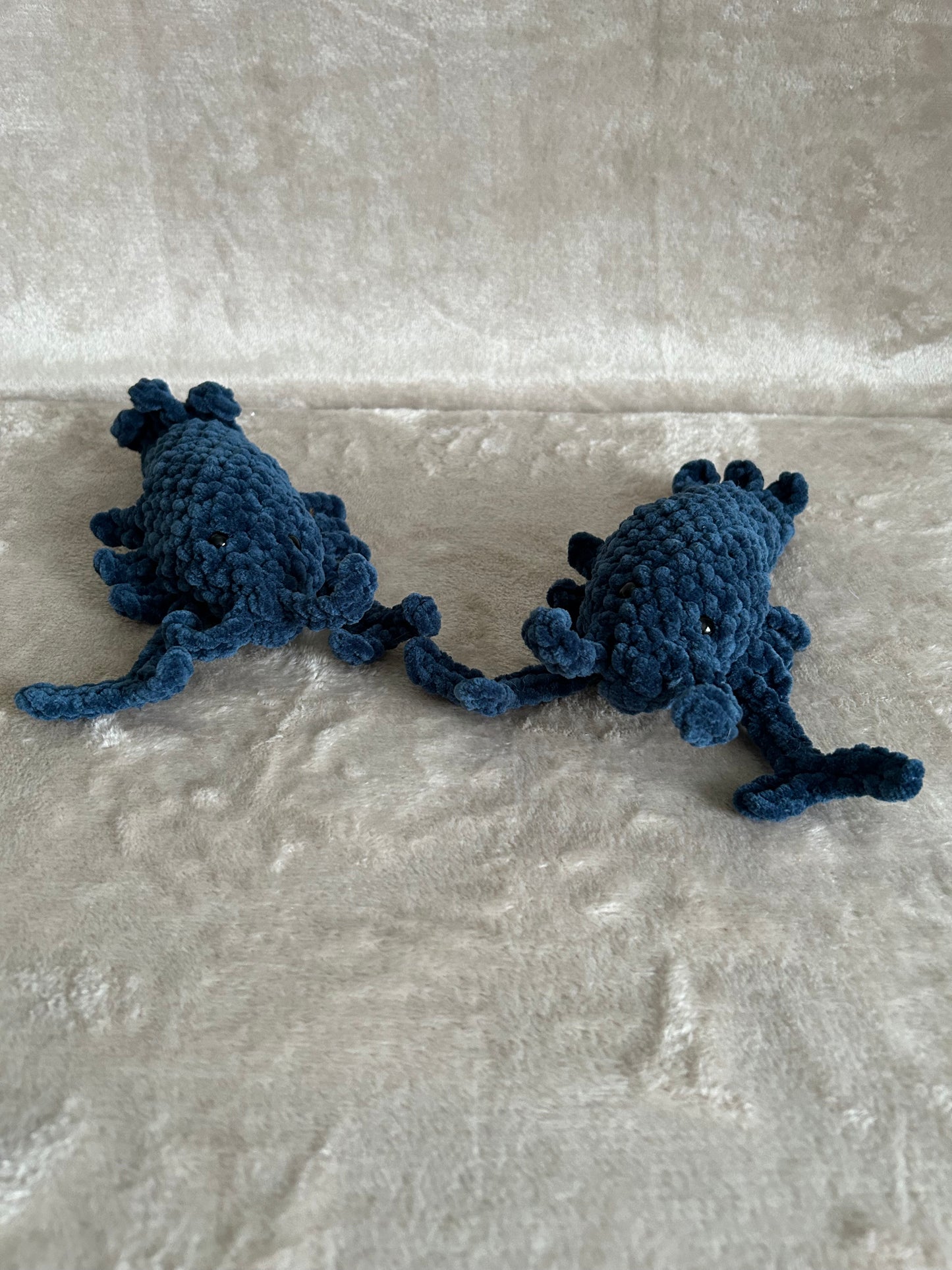 Havets mjukaste kramkompis – Hummern Hugo