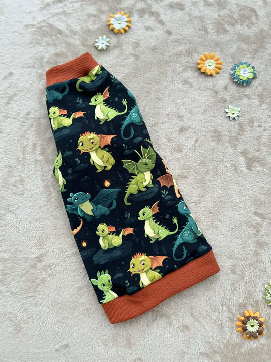 T-shirt för Sphynx med BabyDrakar